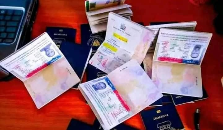 Excellent Travel Agency