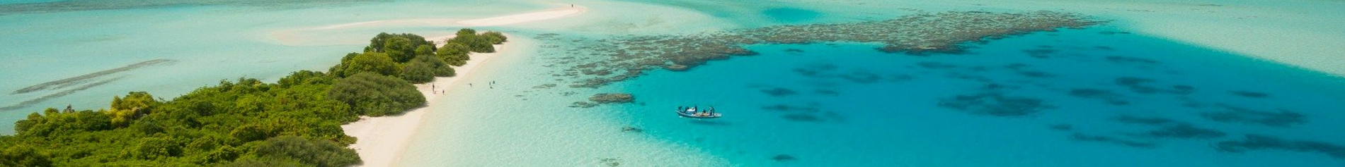 Excellent Travel Agency