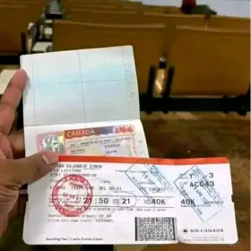 Excellent Travel Agency