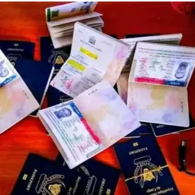 Excellent Travel Agency